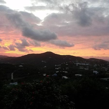 Caribbean Splendor With Million Dollar Views Christiansted Exterior foto