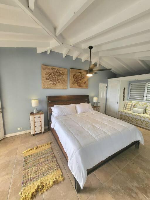 Caribbean Splendor With Million Dollar Views Christiansted Exterior foto